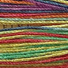 Load image into Gallery viewer, NEW Hemptique 100% Hemp Cord, 4 x 9.1m, 1mm wide. Colour: Variegated #3