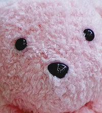 Load image into Gallery viewer, SALE: Knitting Pattern: Sirdar Bunny and Bear