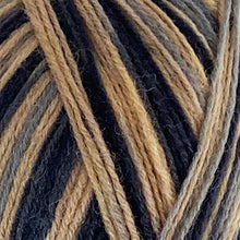 Load image into Gallery viewer, Sock Yarn: Zig Zag 4 Ply in Mayfly, 100g Ball