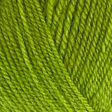 Load image into Gallery viewer, DK Yarn: King Cole Pricewise DK, Grass, 100g