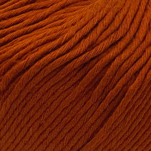Load image into Gallery viewer, Yarn: Wool and the Gang Shiny Happy Cotton in Cinnamon Dust, 100g