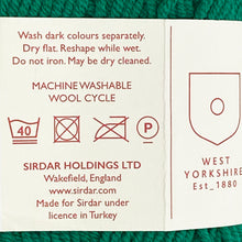 Load image into Gallery viewer, DK Yarn: Sirdar Stories Cotton Yarn, Carnival, Green, 50g