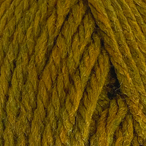NEW Super Chunky Yarn: Big Value, Olive, (100g)