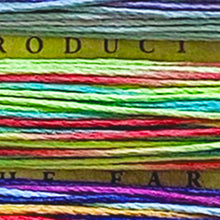 Load image into Gallery viewer, NEW Hemptique 100% Hemp Cord, 4 x 9.1m, 1mm wide. Colour: Variegated #2
