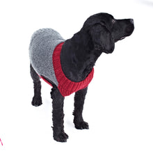 Load image into Gallery viewer, Knitting Pattern: Dog Coats in DK Yarn
