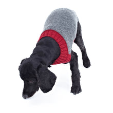 Load image into Gallery viewer, Knitting Pattern: Dog Coats in DK Yarn
