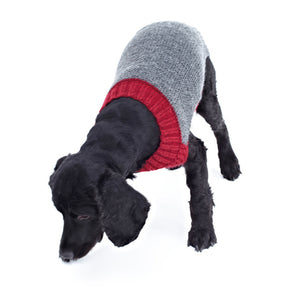 Knitting Pattern: Dog Coats in DK Yarn