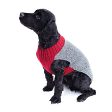 Load image into Gallery viewer, Knitting Pattern: Dog Coats in DK Yarn
