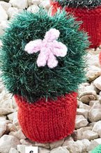 Load image into Gallery viewer, Knitting Pattern: Cacti in DK and Tinsel Chunky Yarn
