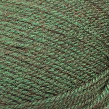 Load image into Gallery viewer, Aran Yarn: Forest Green Fashion Aran with Wool, 400g
