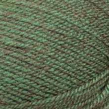 Load image into Gallery viewer, Aran Yarn: Forest Green Fashion Aran with Wool, 400g
